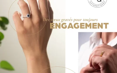 Collection Engagement 2023-2024